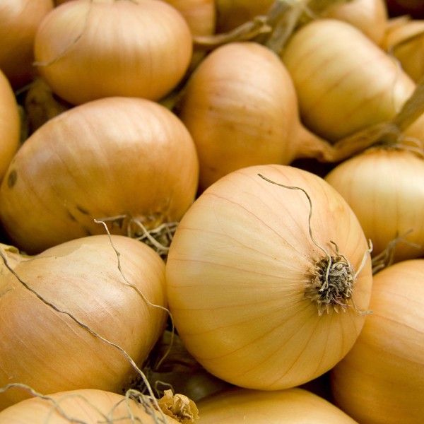 You've Been Storing Onions Wrong Your Entire Life
